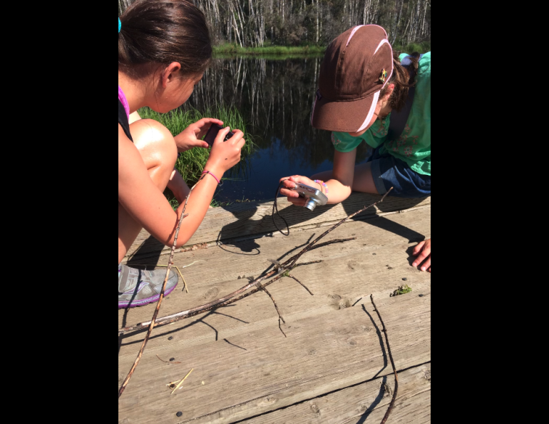 Girls take photos of a dragonfly at Creamer’s Field Migratory Waterfowl Refuge during summer camp. Photo by Perrin Teal Sullivan