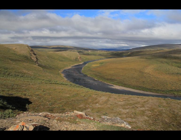  The Kukpowruk River flows through tundra in northwest Alaska. Fieldwork for the dinosaur study centered on Coke Basin, a circular geologic feature along the river, about 60 miles south of Point Lay and 20 miles inland from the Chukchi Sea coast. Photo courtesy of Anthony Fiorillo
