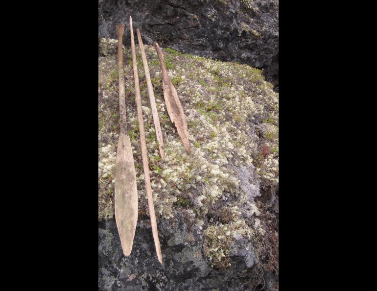 Paddles and spear shafts sit outside a cave on the Seward Peninsula in 2012 after being recovered by Jeanne Schaff, now retired from the National Park Service. Photo by Jeanne Schaff.